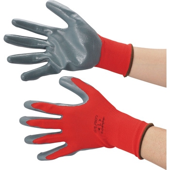 - w  jgSR[g m^E 31101272