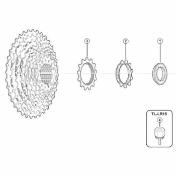 11Tギア(ツバ付ギア)bLグループ用 SHIMANO(シマノ)