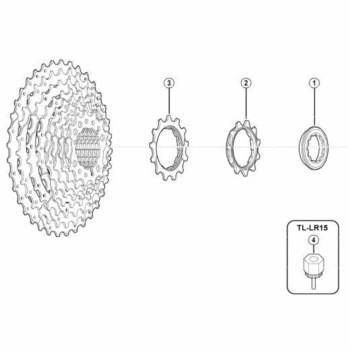 12Tギア(ツバ付ギア)bLグループ用 SHIMANO(シマノ)