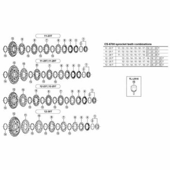 19Tギア(11-25T、11-28T用) - SHIMANO(シマノ)