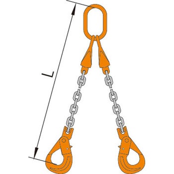 S-WP2 5�~5m �X�����O�`�F�[�� �_�u��(�s���^�C�v) pewag 31126068