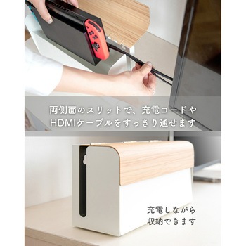 Nintendo Switch用 収納ケース ミヤタケ(宮武製作所)