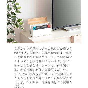 Nintendo Switch用 収納ケース ミヤタケ(宮武製作所)