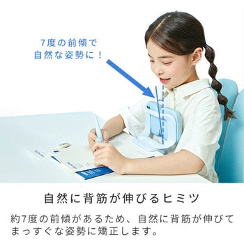 姿勢ただしくん 姿勢改善クッション マリン商事
