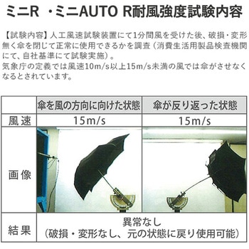 ストレングスミニR mabu(マブ)