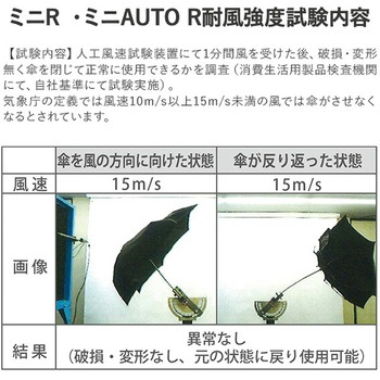 ストレングスミニR mabu(マブ)
