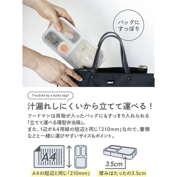 薄型弁当箱 抗菌フードマン dsk.pig