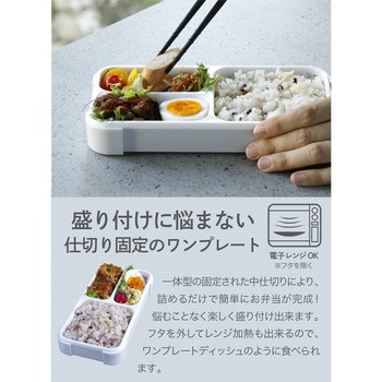 薄型弁当箱 抗菌フードマン dsk.pig