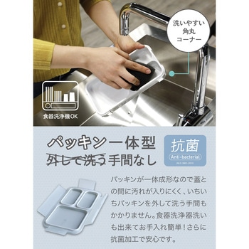 薄型弁当箱 抗菌フードマン dsk.pig