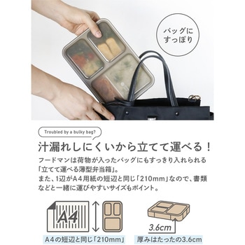 薄型弁当箱 抗菌フードマン dsk.pig