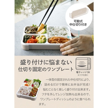 薄型弁当箱 抗菌フードマン dsk.pig