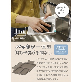 薄型弁当箱 抗菌フードマン dsk.pig