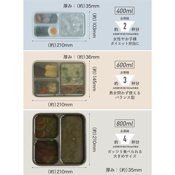 薄型弁当箱 抗菌フードマン dsk.pig
