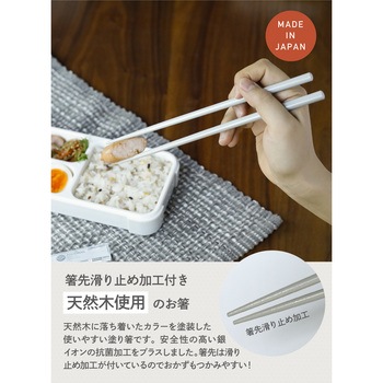 フードマン専用 抗菌箸 dsk.pig