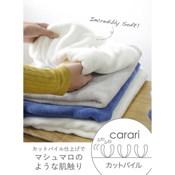 カラリプラス バスタオル シービージャパン