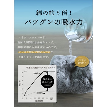 カラリデイ 吸水ヘアターバン シービージャパン