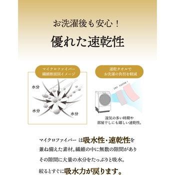 カラリデイ 吸水ヘアターバン シービージャパン
