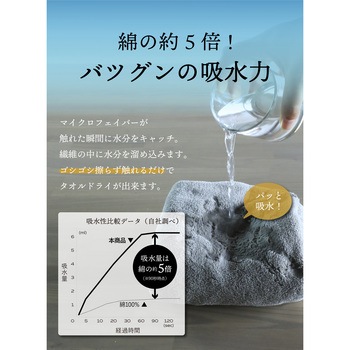 カラリデイ 吸水ヘアターバン シービージャパン