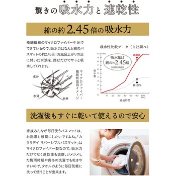 カラリデイリバーシブルバスマット シービージャパン