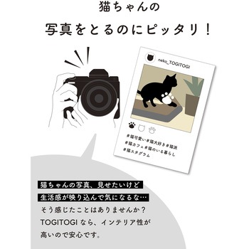 hachi レザー調爪とぎ TOGITOGI シービージャパン