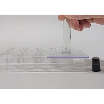 ショート試験管(10本) ナリカ