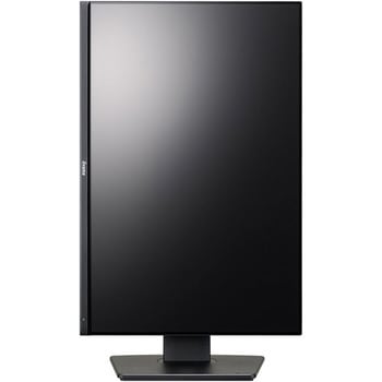 液晶ディスプレイ 25型/1920×1200/D-sub、HDMI、DisplayPort/ブラック/スピーカー：あり/IPSパネル/昇降/回転 iiyama(イイヤマ)