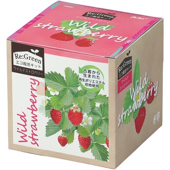 エコ栽培キット Re：Green アーテック[学校教材・教育玩具]