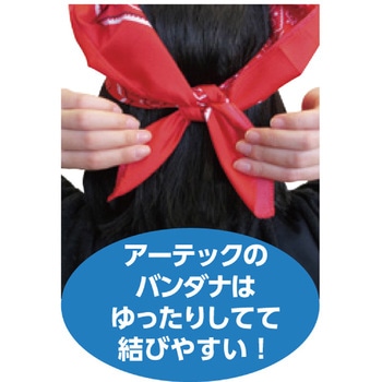 バンダナ 10枚組 アーテック(学校教材・教育玩具)