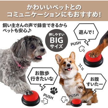 RECプッシュ アーテック[学校教材・教育玩具]