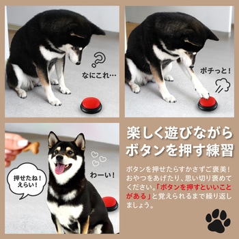 RECプッシュ アーテック[学校教材・教育玩具]