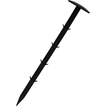 25cm V[g ZteB[3 31280909