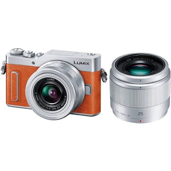 LUMIX DC-GF10W ミラーレス一眼カメラ ダブルレンズキット LUMIX 