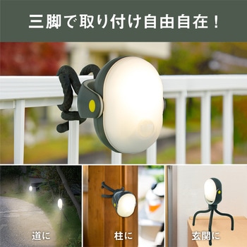 どこでもセンサーライト300 ライテックス(ムサシ)
