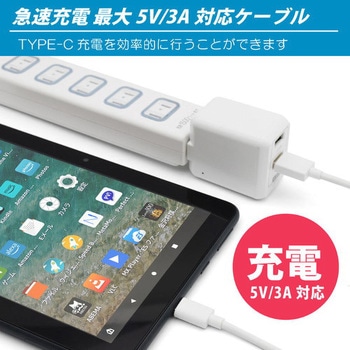 Type-Cケーブル JTT