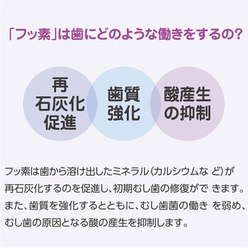 モンダミンJr．フッ素ジェル アース製薬 グレープミックス味 - 【通販