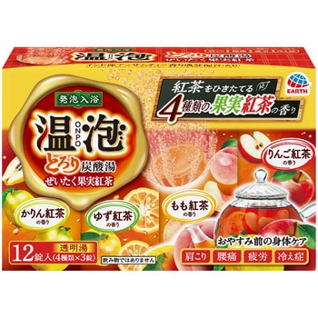 温泡 ONPO とろり炭酸湯 1箱(45g×12錠) アース製薬 【通販サイトMonotaRO】