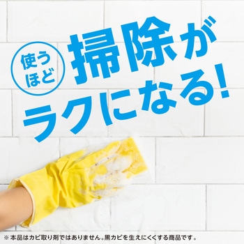 らくハピ お風呂の防カビ剤 カチッとおすだけ 無香料 アース製薬
