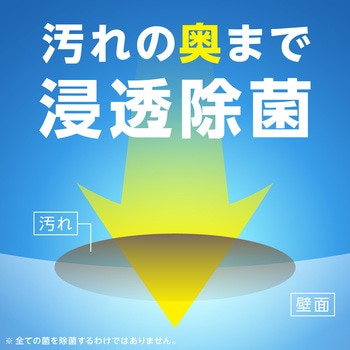 らくハピ お風呂の防カビ剤 カチッとおすだけ 無香料 アース製薬