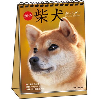 19 柴犬カレンダー 卓上書き込み式 B6タテ 永岡書店 カレンダー 通販モノタロウ