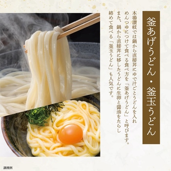 石丸製麺 2種セット(各2個)(半生讃岐うどん・細うどん) 石丸製麺