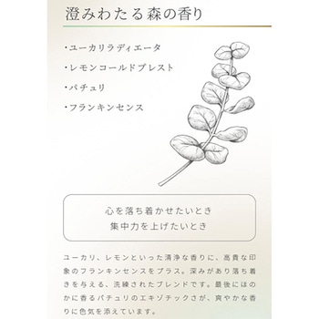 アロマゴコチ 18枚入り ウッディ タカミツ