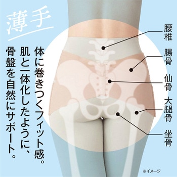 お医者さんの(R)骨盤ベルト ピタ肌 アルファックス