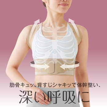 お医者さんの(R)体幹姿勢サポーター ピタ肌 アルファックス