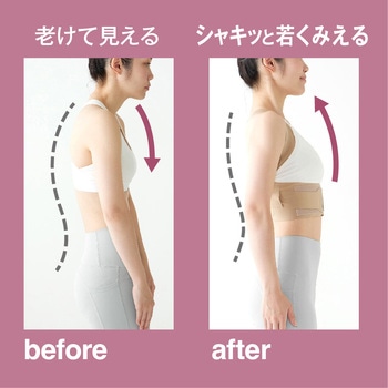 お医者さんの(R)体幹姿勢サポーター ピタ肌 アルファックス