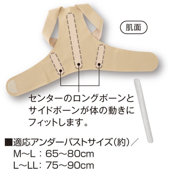 お医者さんの(R)体幹姿勢サポーター ピタ肌 アルファックス