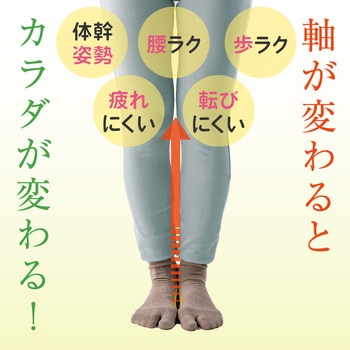 ハピラボ 体幹学べるフットサポーター アルファックス