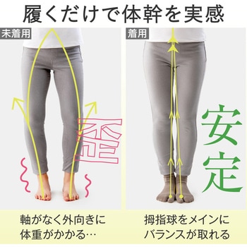 ハピラボ 体幹学べるフットサポーター アルファックス
