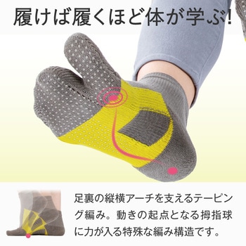 ハピラボ 体幹学べるフットサポーター アルファックス