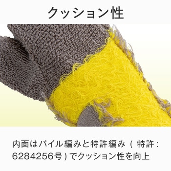 ハピラボ 体幹学べるフットサポーター アルファックス
