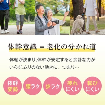 ハピラボ 体幹学べるフットサポーター アルファックス